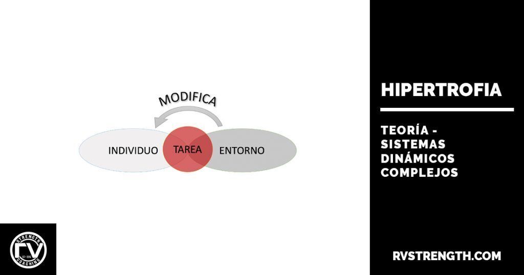 Sistemas dinámicos hipertrofia