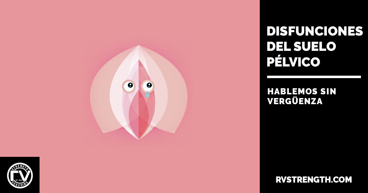 Disfunciones suelo pélvico 2